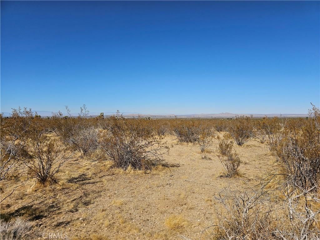 MLS #AR25060984 image #0