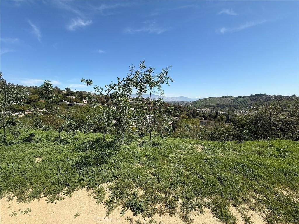 Lot 13 Los Angeles CA 90065 | MLS #AR25067290 41 MLS #AR25067290 image #0