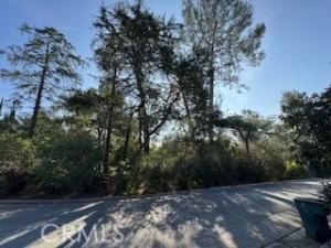 Burleigh DR Lot 1 Pasadena CA 91105 MLS #AR25152811 9 MLS #AR25152811 image #0