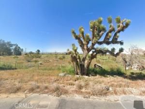 MLS #AR25177073 image #0