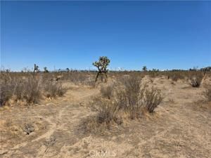 MLS #AR25194397 image #0