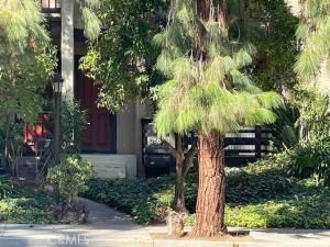 MLS #AR25243489 image #0