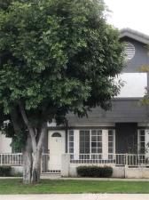 MLS #AR25258587 image #0