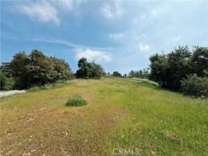 MLS #AR25261327 image #0