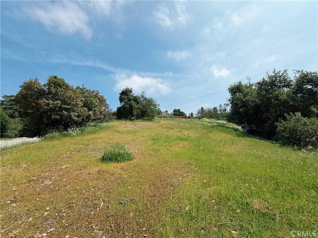 MLS #AR25261327 image #0