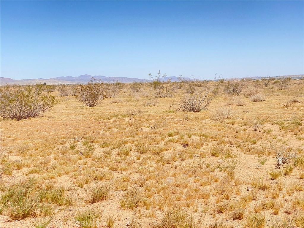 MLS #AR26000126 image #0