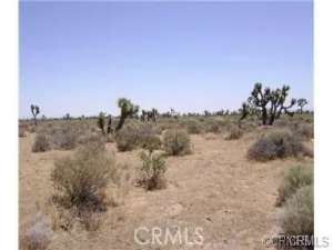broker reciprocity