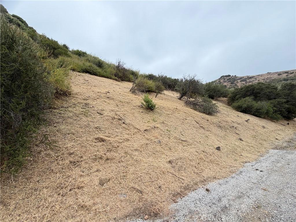 MLS #AR26100577 image #0