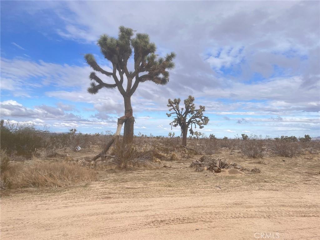 MLS #AR26107306 image #0