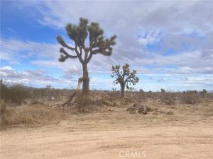MLS #AR26107306 image #0