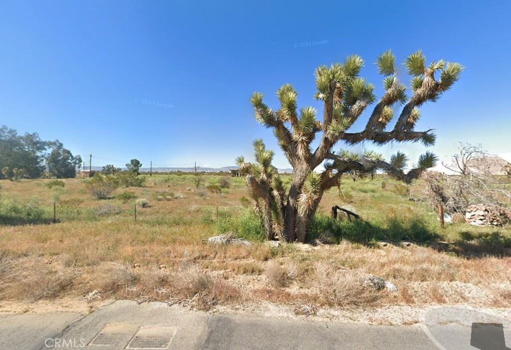 MLS #AR26110841 image #0