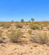 MLS #AR26214292 image #0