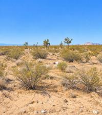 MLS #AR26214292 image #0