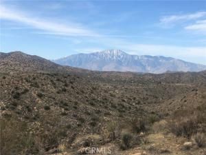 MLS #BB25134926 image #0