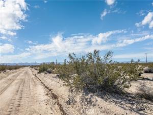 Friendship Road 29 Palms CA 92277 | MLS #BB25266289 41 MLS #BB25266289 image #0