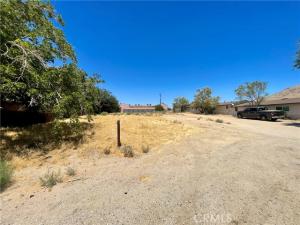 MLS #BB26151344 image #0