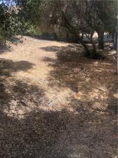 MLS #BB26152696 image #0