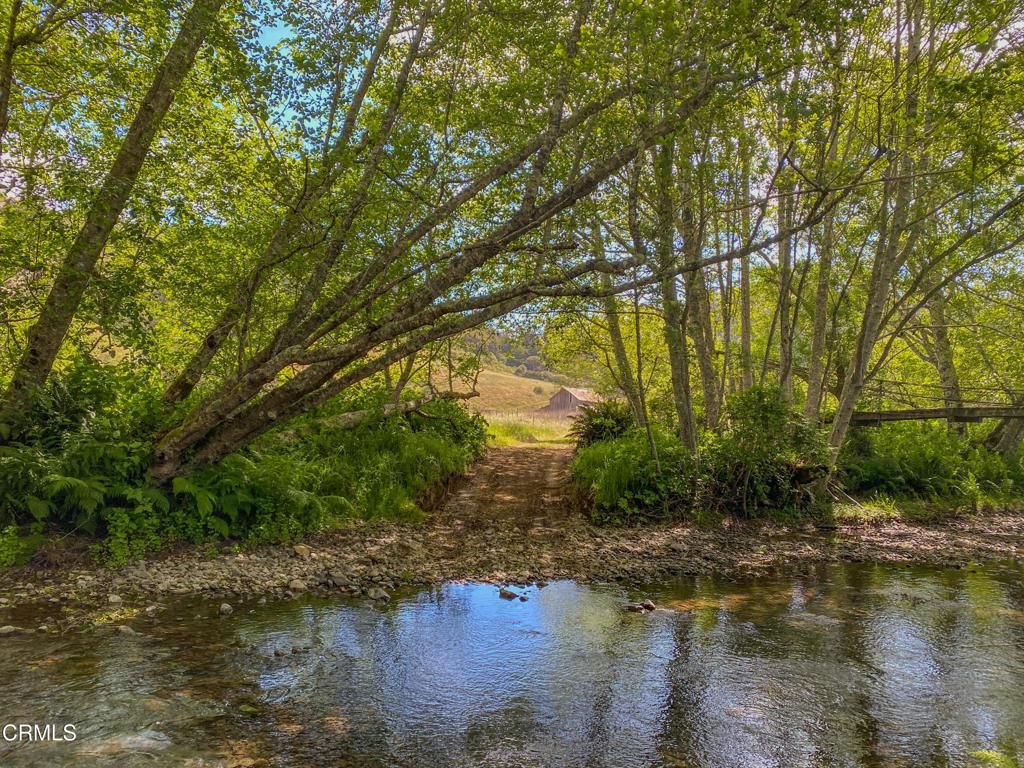 MLS #C1-11040 image #0