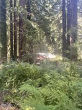 MLS #C1-11471 image #0