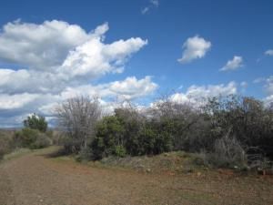 Sky CT Lot 19 Chico CA 95928 | MLS #CH15042839 45 MLS #CH15042839 image #0