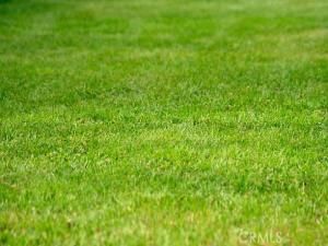 MLS #CV24048309 image #0