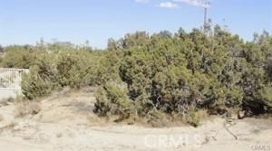 MLS #CV24048329 image #0