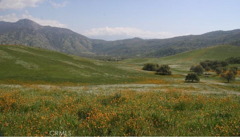 MLS #CV24072440 image #0