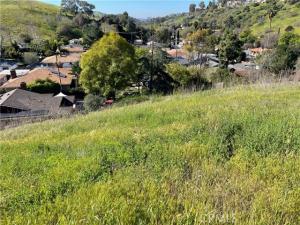 MLS #CV24190062 image #0