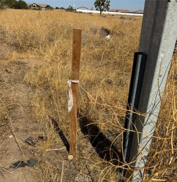 MLS #CV24198161 img 0