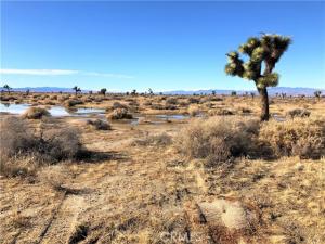 MLS #CV25008773 image #0