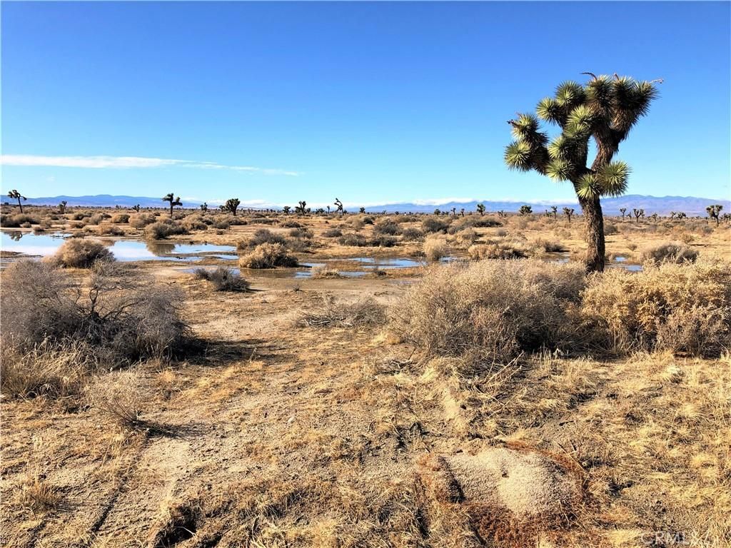 MLS #CV25008773 image #0