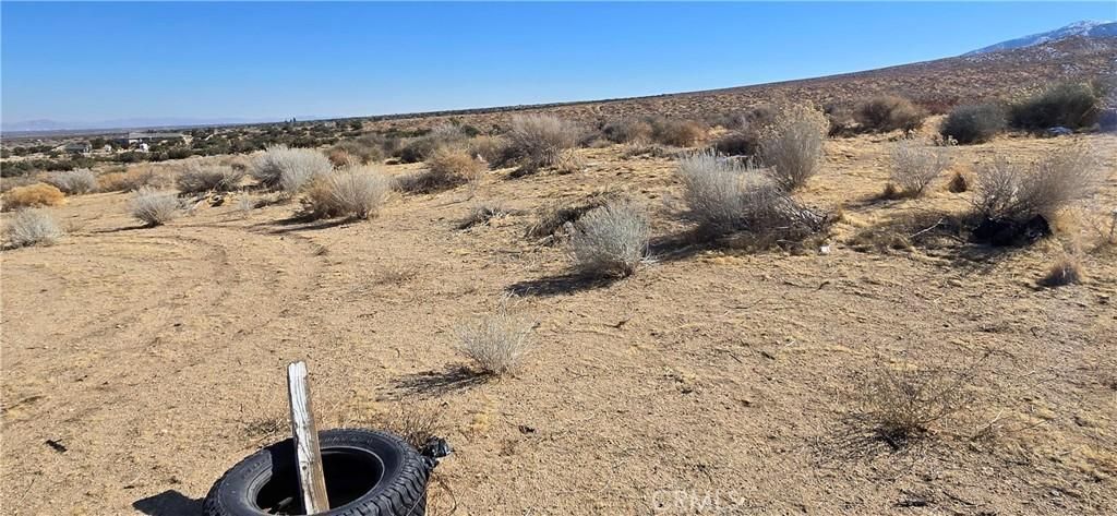 MLS #CV25022097 image #0