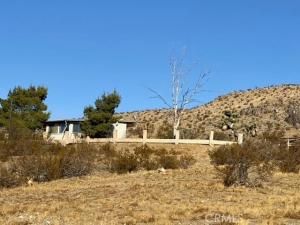 MLS #CV25062001 image #0