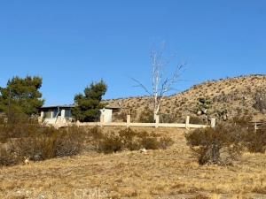 MLS #CV25062001 image #0