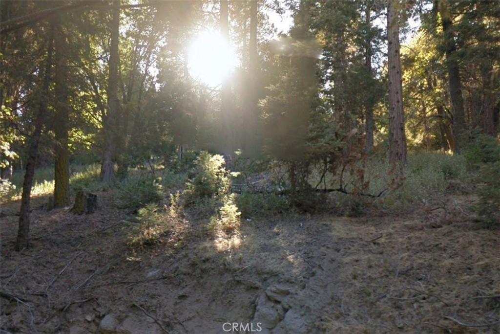 MLS #CV25074361 image #0