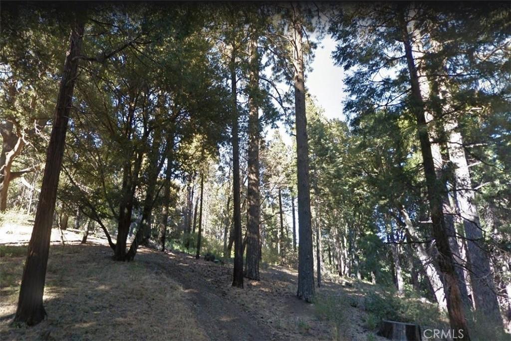 MLS #CV25074704 image #0