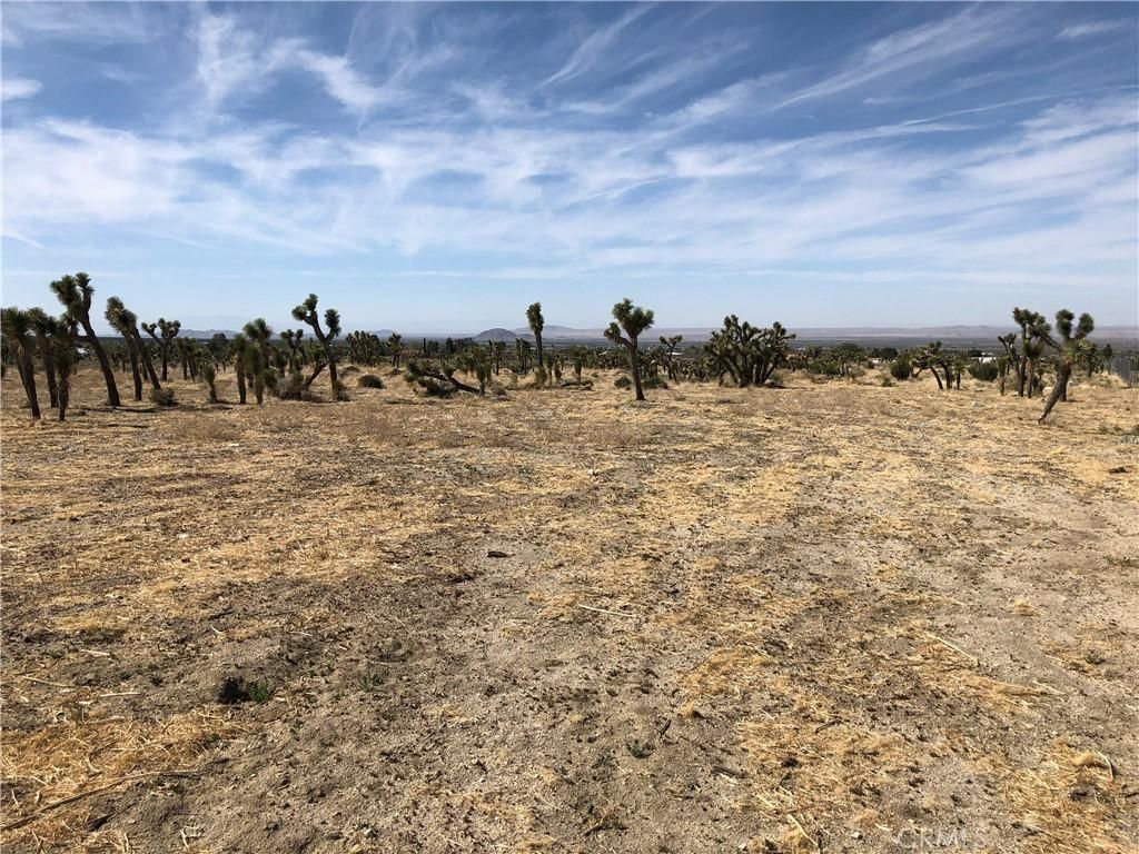 MLS #CV25082303 image #0