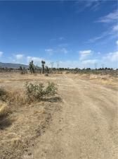 MLS #CV25111372 img 0