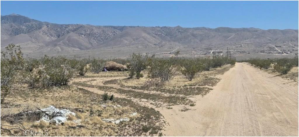 MLS #CV25113429 image #0