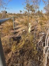 MLS #CV25124221 image #0