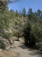 MLS #CV25144037 image #0