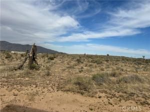 MLS #CV25151988 image #0