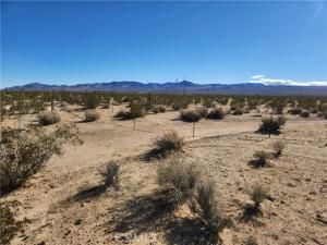 MLS #CV25168951 image #0