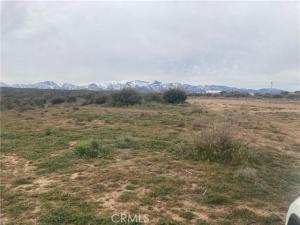 MLS #CV25175494 image #0