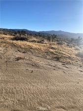 MLS #CV25175543 image #0