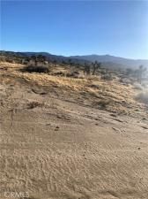 MLS #CV25175552 image #0