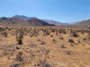 MLS #CV25181118 image #0