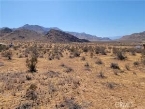 MLS #CV25181118 image #0