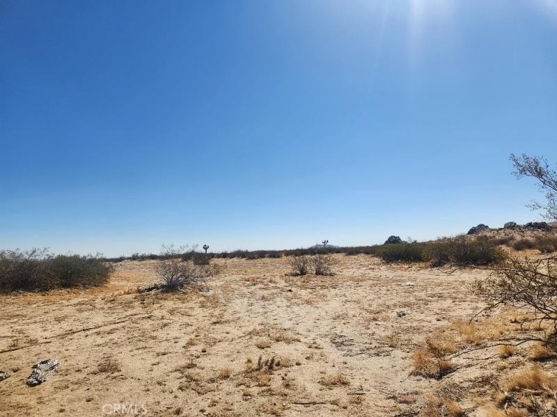 MLS #CV25184510 image #0