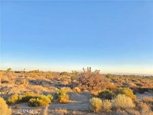 MLS #CV25185875 image #0